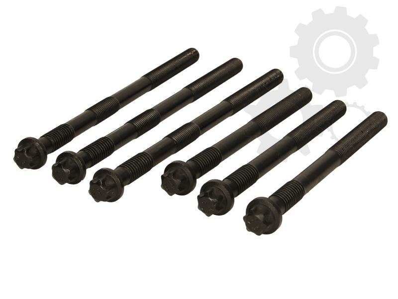 Set suruburi chiuloasa motor 1200 cmc Man D2866