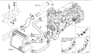 Furtune radiator inferior/superior Iveco Eurocargo (poz.2 si 3)