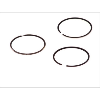 Segmenti piston STD motor 1,5 dCi Nissan (per piston)