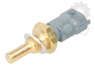 Senzor temperatura lichid racire motor Renault 10,8DXi