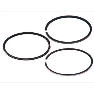 Set segmenti STD motor Vw 2,5 TDI (Vw T4)