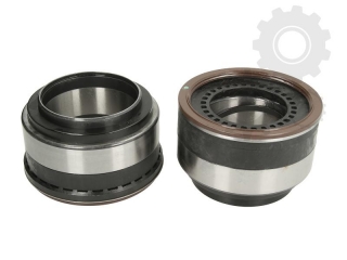 Kit rulmenti butuc punte spate  Daf XF,CF (disc frana)