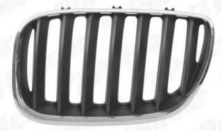 Grila radiator fata BMW X5 caroserie E53 dupa 2003