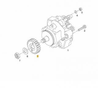 Pinion distributie pompa injectie motor Man 4.6TD D0834