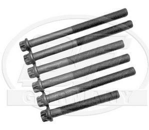 Set suruburi chiuloasa motor Man 12,8 TD (D2876)