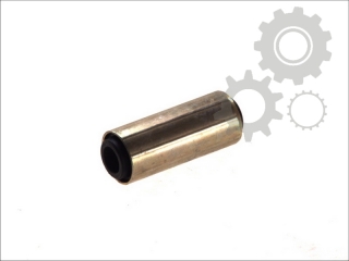 Bucsa cabina spate Man F2000 (poz.21)