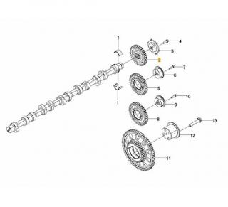 Pinion distributie intermediar motor Man 12,4TD D2676 (poz.5)