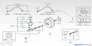 Amplificator frane Forseter
