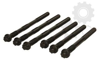 Set suruburi chiuloasa motor 1200 cmc Man D2866